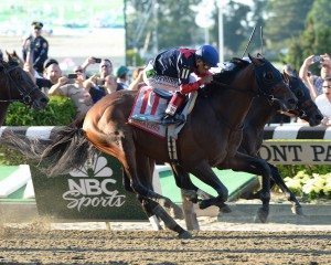 Tonalist (above) won the 2014 Belmont Stakes. This year’s race is being held on Saturday, June 6. (Photo Courtesy of NYRA)