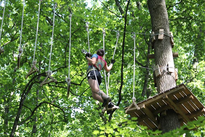 Climb through the trees at Long Island Adventure Park. (Photo courtesy of Long Island Adventure Park)
