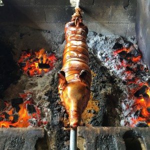 A pig roasting to perfection. (Photo by Marie Elena Martinez)