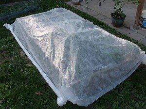 Floating row covers can be constructed simply with breathable garden fabric. 