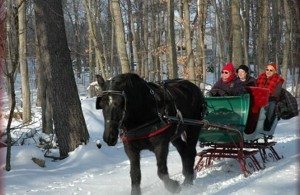 Take a horse-drawn sleigh ride with Pocono Country Carriages.