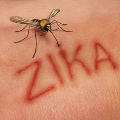 ZikaStory_090216B