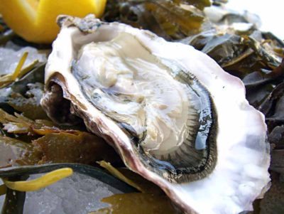 Oysters are a rich and briny delicacy. 