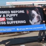 puppy mill protest 4