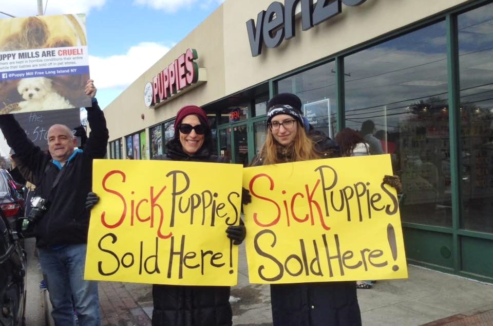 Puppy Store protest