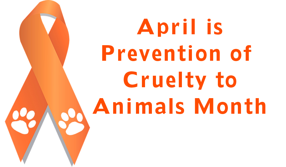 Nassau County SPCA Kicks Off $5 Challenge For Animal Cruelty Prevention  Month | Long Island Weekly
