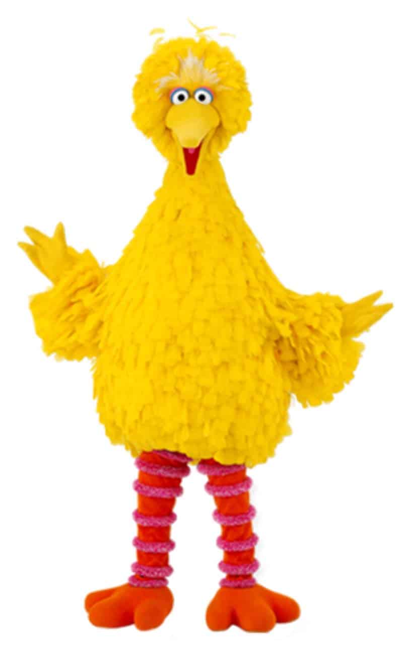 Sesame Street Characters Big Bird