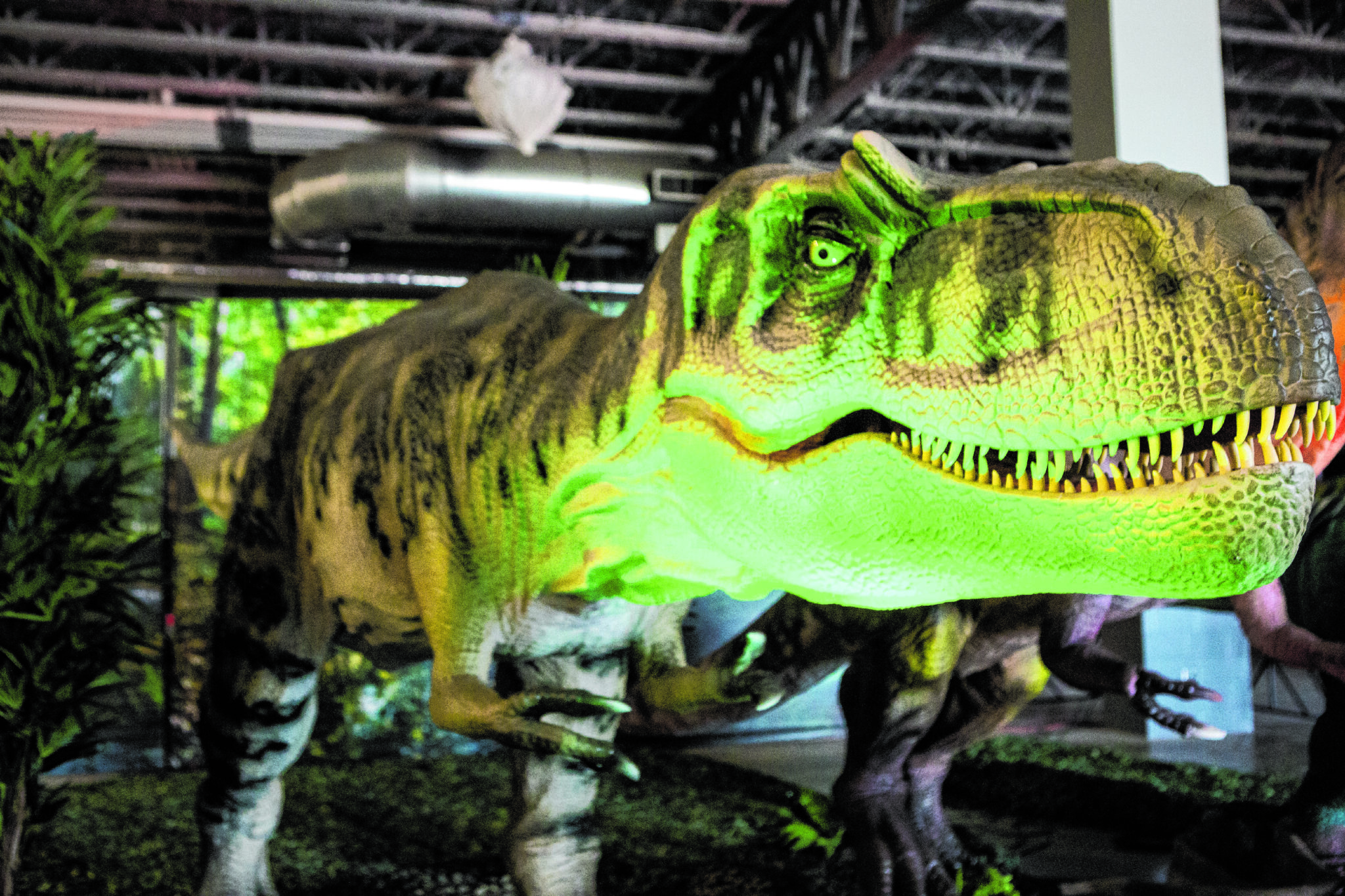 Go On A Jurassic Quest At Nassau Coliseum